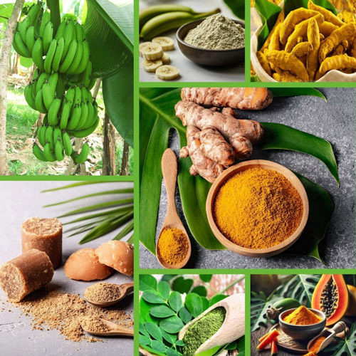 Crispo Makhana Private Limited